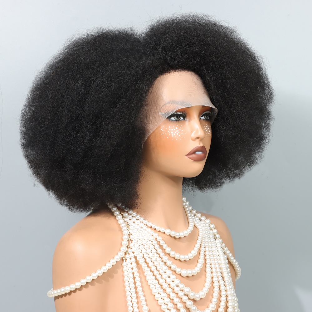 14 Inch Afro Wigs for Black Wo - đánh giá và giá Glueless Wear And Go Human Hair Wig